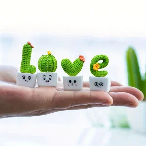 4 Minis cactus brodé "Love"